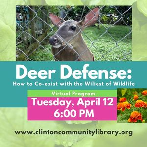 Deer Defense: How to